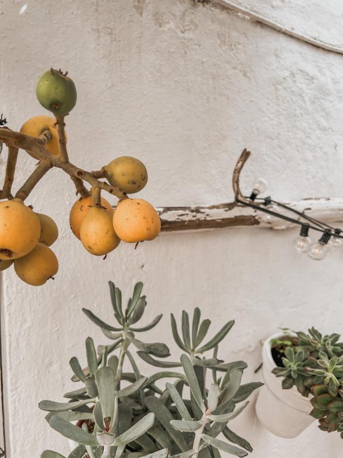 Apartamento C-ALMA en el corazón de Vejer Apartamento Vejer de la Frontera Exterior foto